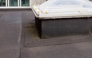 disadvantages of Cotleigh flat roofs