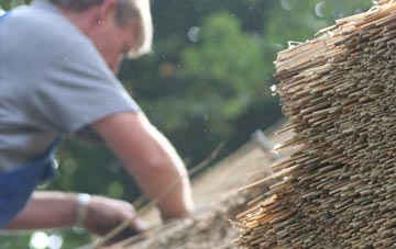 professional Cotleigh thatchers